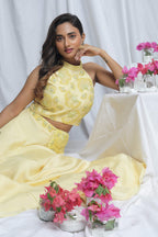 AVYANA CROP TOP WITH SKIRT